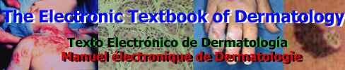 Electronic Textbook of Dermatology 
