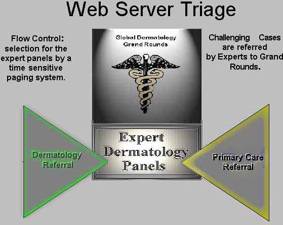 Web Server Triage
